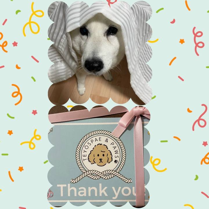 9ac251fc ab57 4f87 a352 265a14816a30 1654865125581