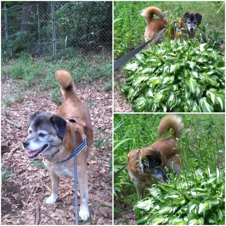 9ac25933 96b6 42ab adff 7e07bc7b01c1 1560766396781