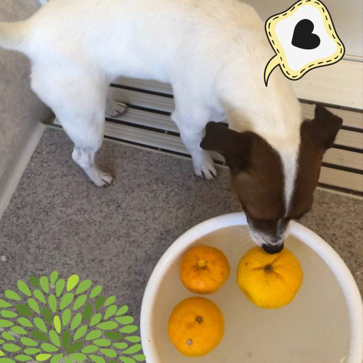 9ac2aebf f69f 4310 878d da48a020c632 1545478075847