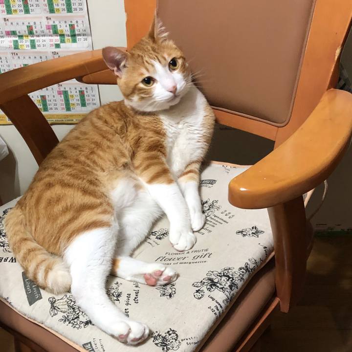 9ac2c165 9218 402d 8c90 3d37ed2bde74 1562072217644