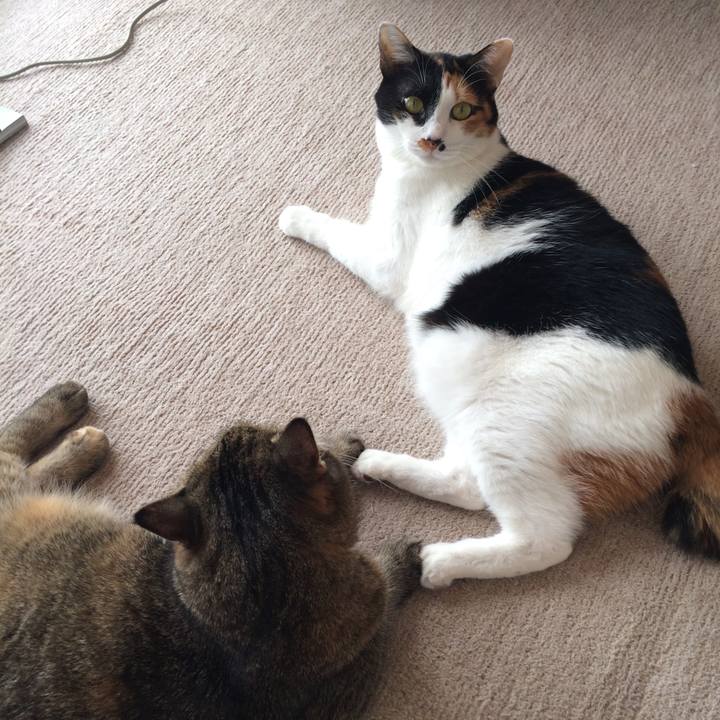 9ac2d19d 7de0 4950 bbe2 b9399136b145 1605068571962