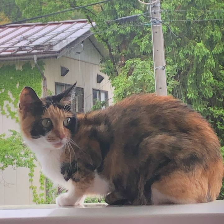 9ac2d1c7 55fa 41a3 ba89 a5c1aa141452 1621565027383