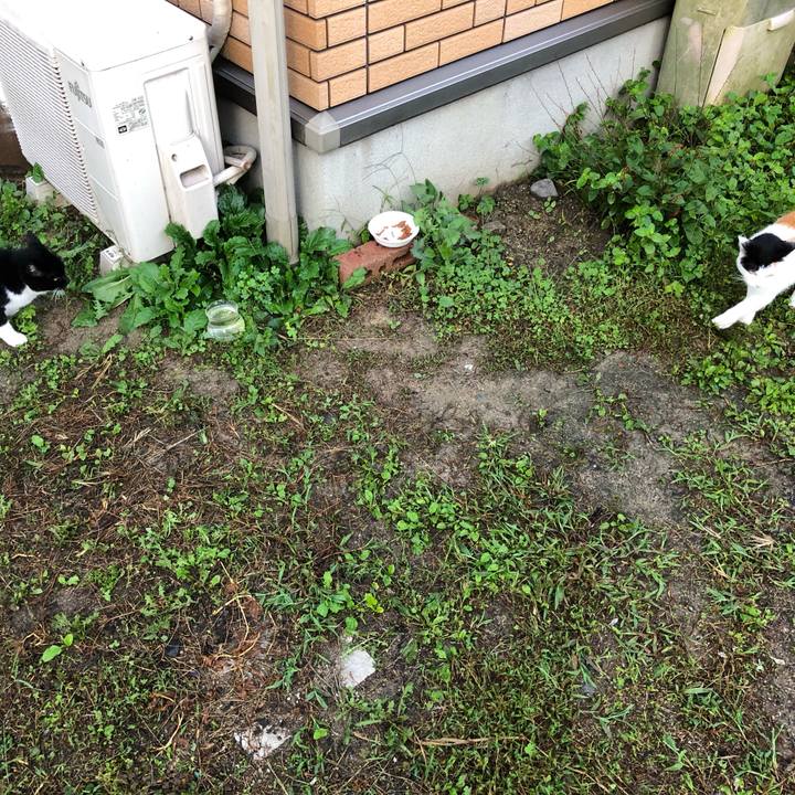 9ac30e29 7f4f 4400 b590 257416441ac5 1600986263276