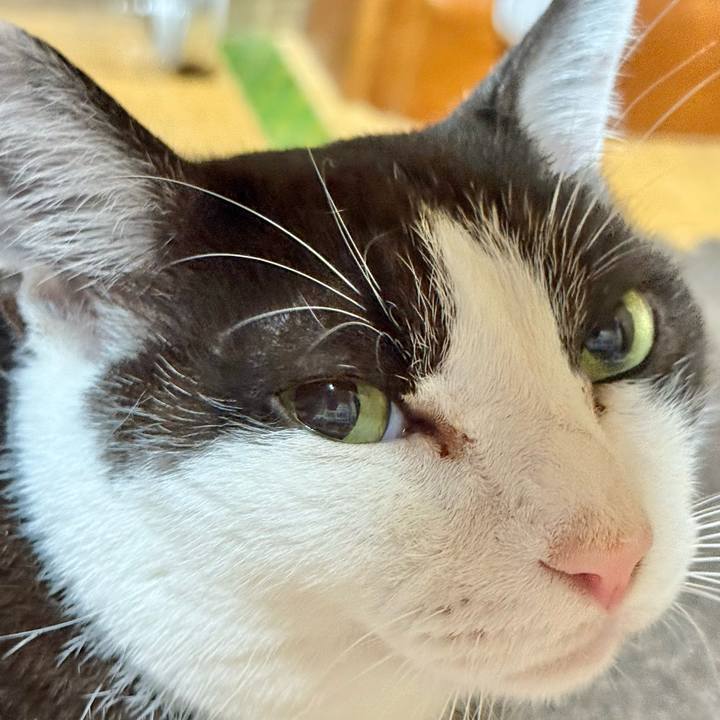 9ac31ac9 2241 4f75 b160 4b75021467a9 1751073318884