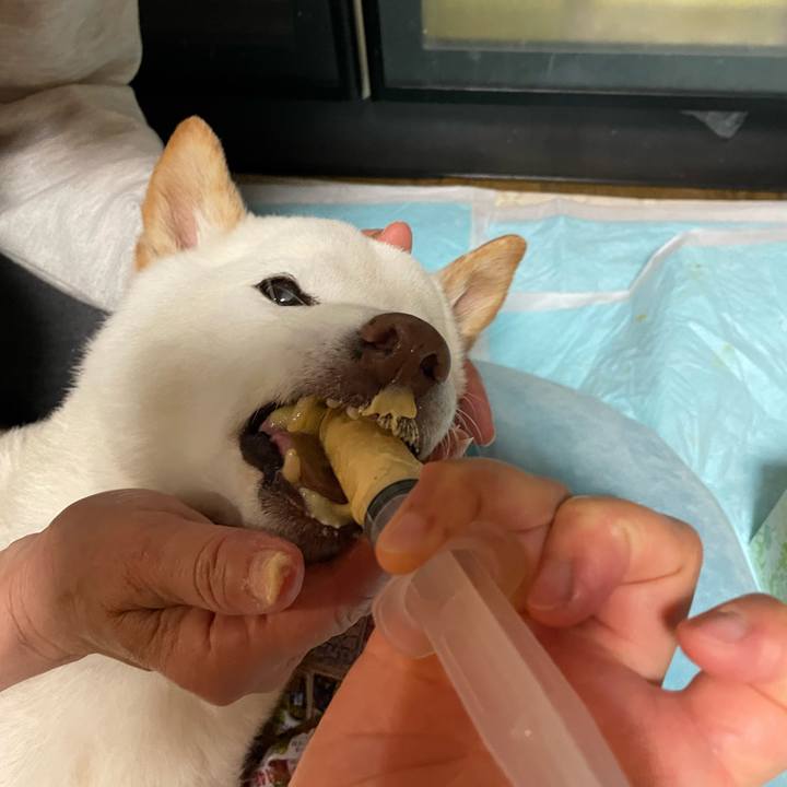 9ac32765 dc24 4766 a9ea aa427b1d4cbb 1652195457277