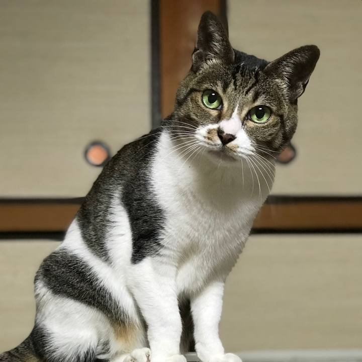 9ac33058 1286 407f 8498 34d72d5895ca 1513128819720