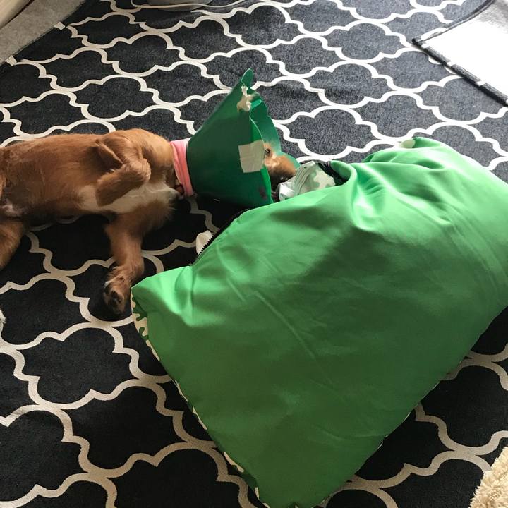 9ac343a5 9692 4cc3 8023 38156faaef5e 1526710159050