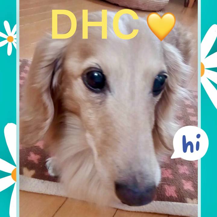 9ac34be7 3f34 46ed 856f b8b4be16446f 1754303284212