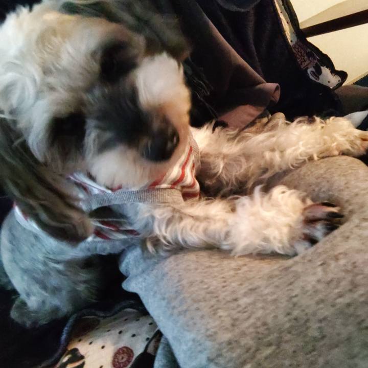 9ac362ed 6d7e 48b1 acc8 f0532611a847 1731217402329