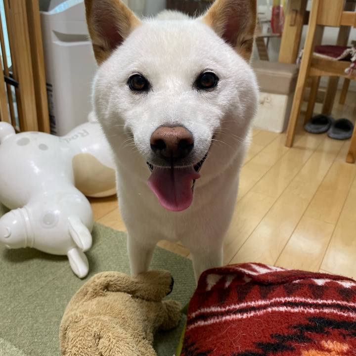 9ac376e9 bdcc 4c5f 8b35 93fb43497db7 1657456916408