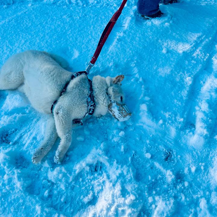 9ac39963 f82e 4119 ad81 a020433d4c5c 1743374929158