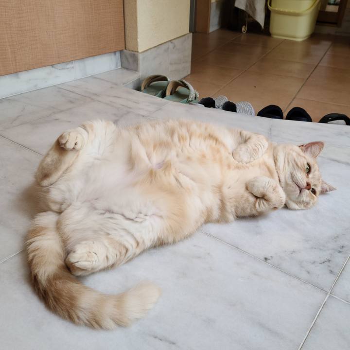 9ac3b40e 68ed 4b65 b848 b474dbf9b6e0 1627975197566