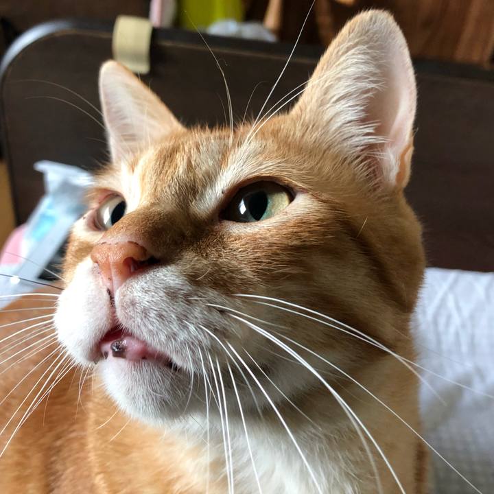 9ac3f975 d185 4922 8b71 822ebf050046 1569706148941