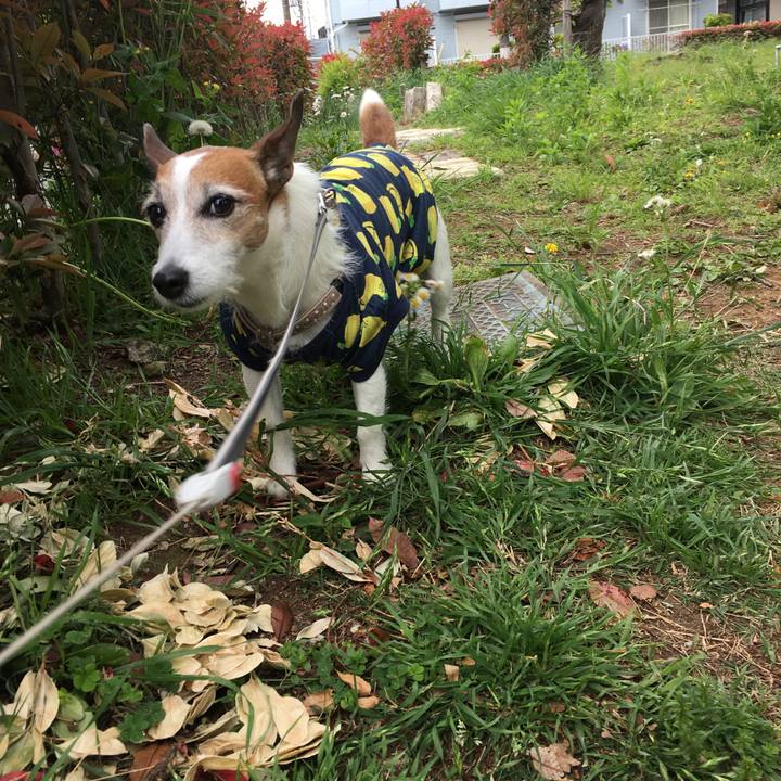 9ac409f3 74d3 4ed6 aedf 6c58dc36a798 1620948224988