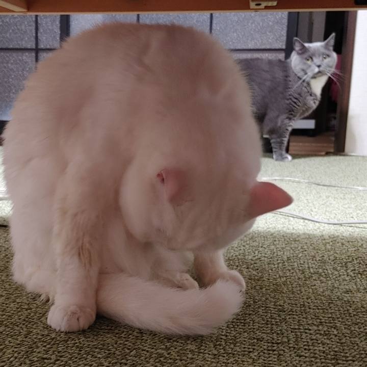 9ac411d5 0527 4126 bd36 81d19cb8e3f9 1671282693792