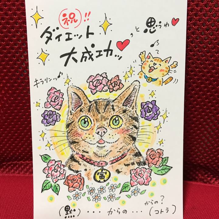 9ac491c6 1569 48a4 9854 b3a303d97c8a 1551190651317