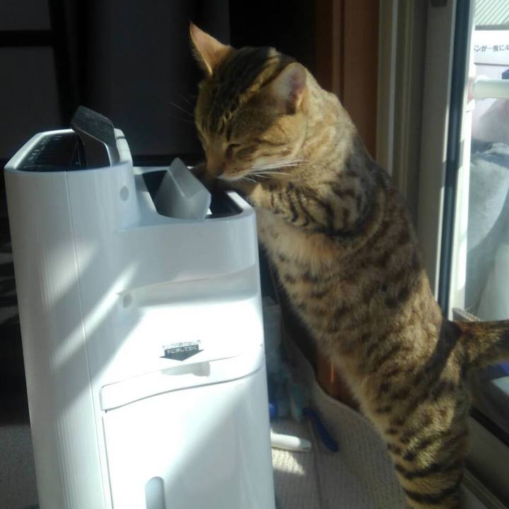 9ac4a3f3 b6fb 46f4 8c5e aefc8b2adbc4 1584110451144