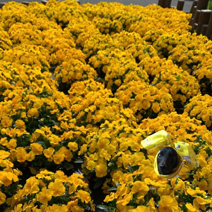 9ac4aa2f f6c0 4a61 9062 f9b1dfa987d0 1648879994485