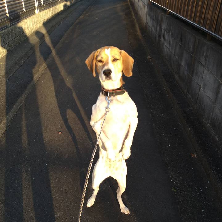 9ac4fd26 d516 4f87 a422 03541903f3b2 1635930255518