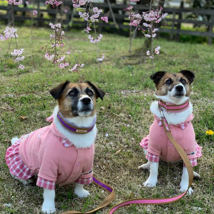 9ac52901 1e8a 4918 8f12 6aaaf4836719 1617436310805