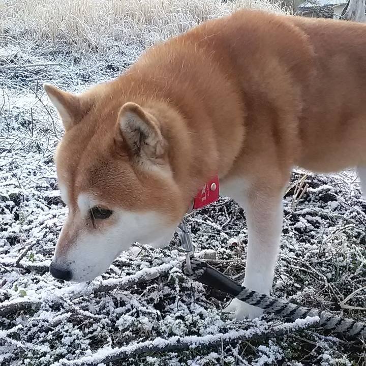 9ac5330b d25c 4701 a3aa b1a997fc5ded 1711011783835