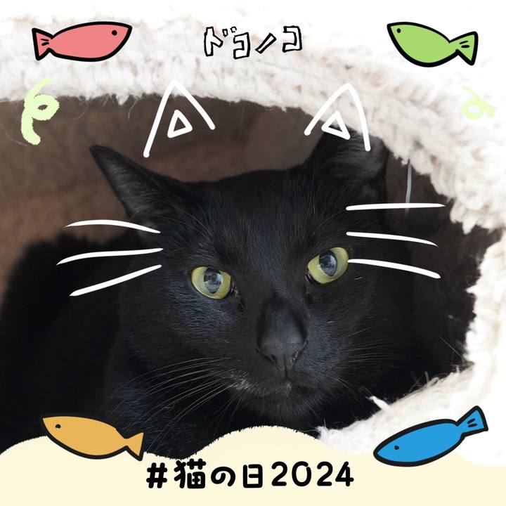 9ac53eb2 058e 4ecd af6b 51dfd89b24e5 1708577388037