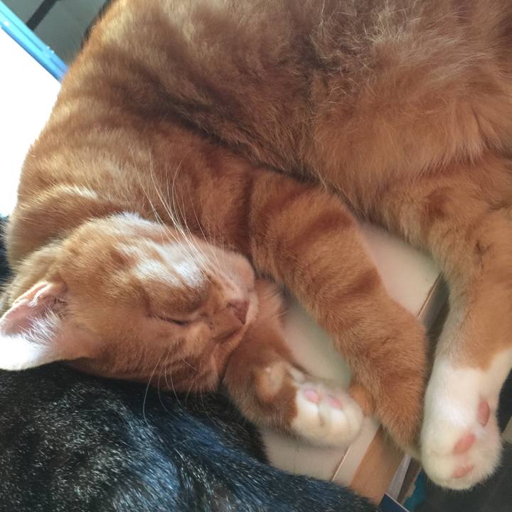 9ac58a4e ba19 4aea 9658 5fbaa4fecb3f 1569914001071