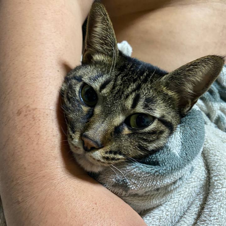 9ac5a3b0 78ed 403b 9e26 1eaf8fd0027f 1605101918352