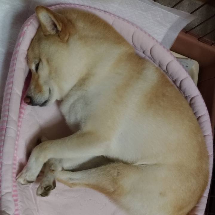 9ac5ae8e c19e 4c3d 84ec 0e81fe9dc46a 1600605349629