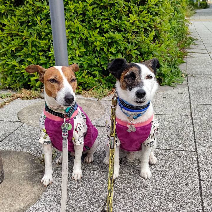 9ac5b1a0 0117 4b23 9140 87f8ef6367a0 1683844955508