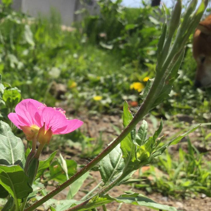 9ac5e7ae cc56 4417 b994 1c7577078741 1557030527057