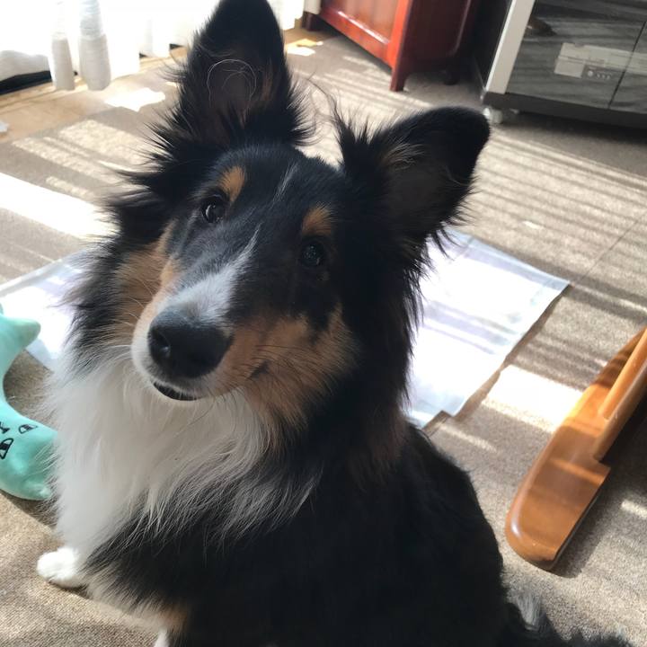 9ac61673 d594 40fc 817b 6fa9bb91404e 1522452103182