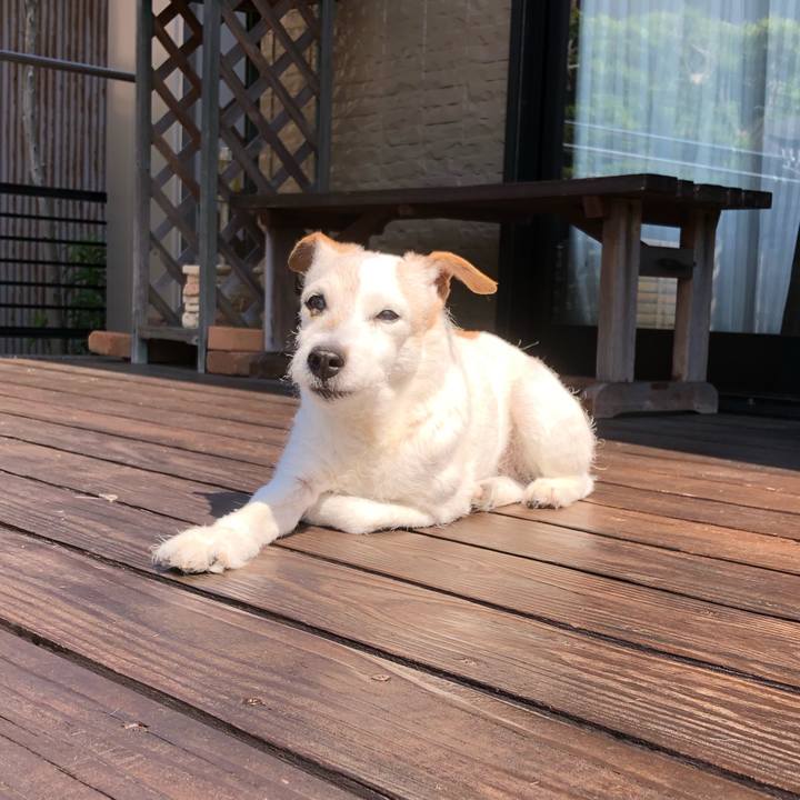 9ac633ff db3c 4016 bca4 b2024367756c 1590139076881