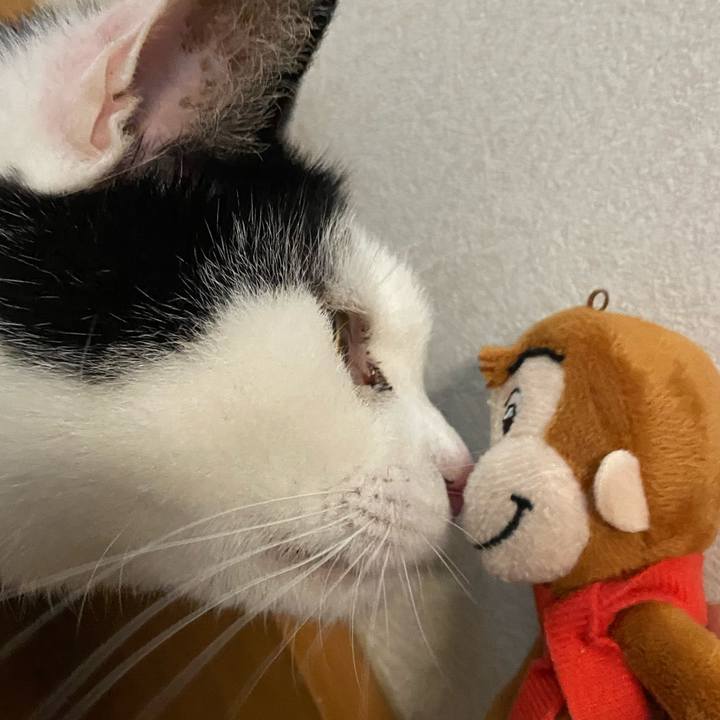 9ac635fe e8a4 48b7 b6ac c70952599d2d 1588767380319