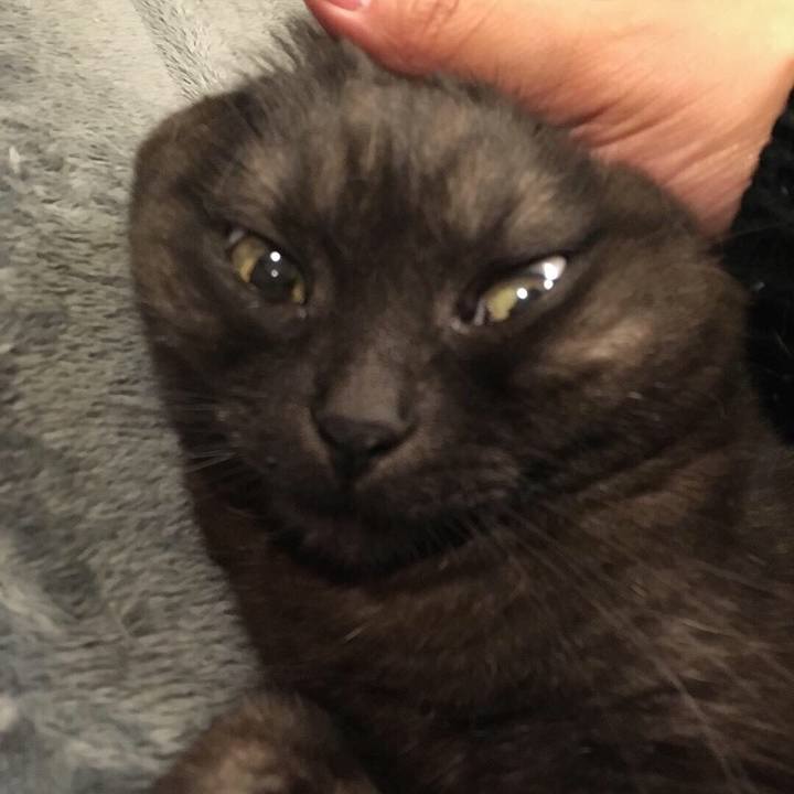 9ac67cd0 6ed0 4de1 aa2c 956bf13f9e04 1552223305495