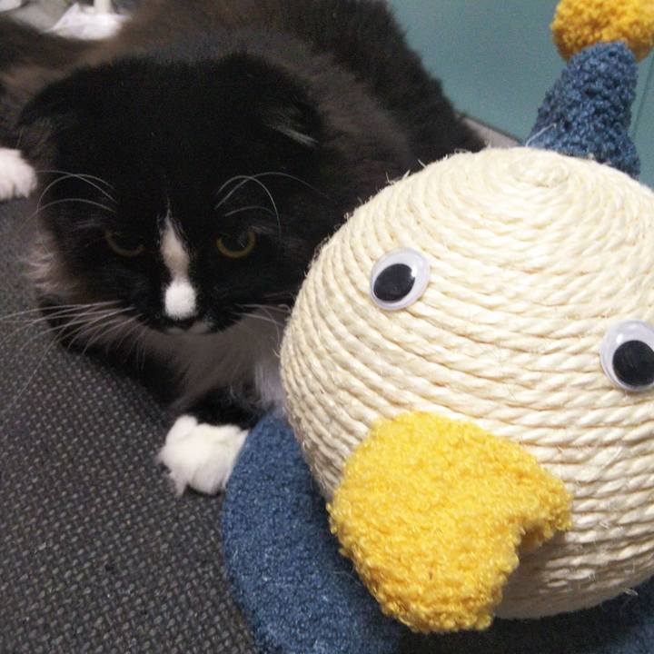 9ac69ae4 7f39 483e 9413 f0b5898831a1 1656299490742