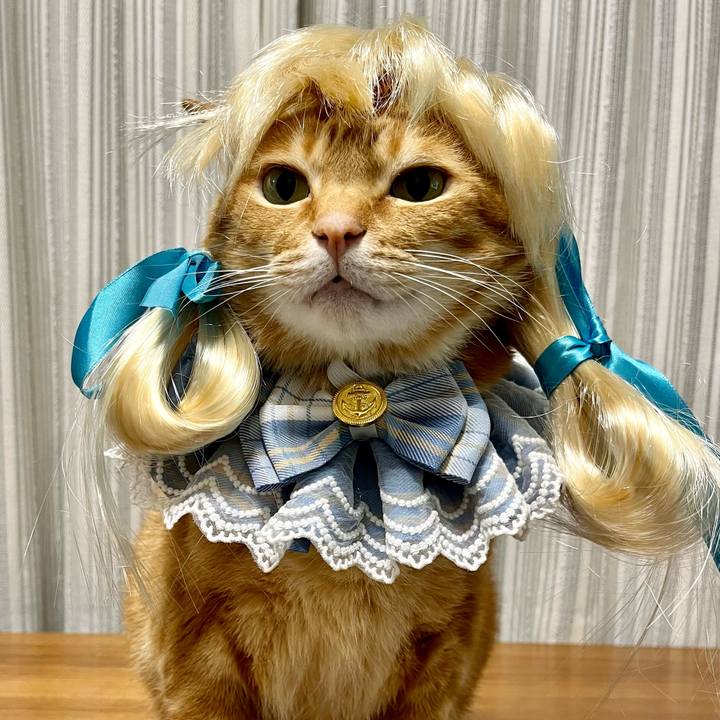 9ac6b897 b678 4a2f 99b0 61dc215f05b9 1652131068330