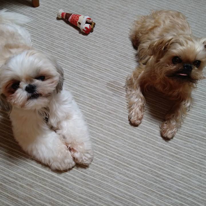 9ac6d216 84d2 4c79 9c43 5e68b5f3b8b1 1610669935934