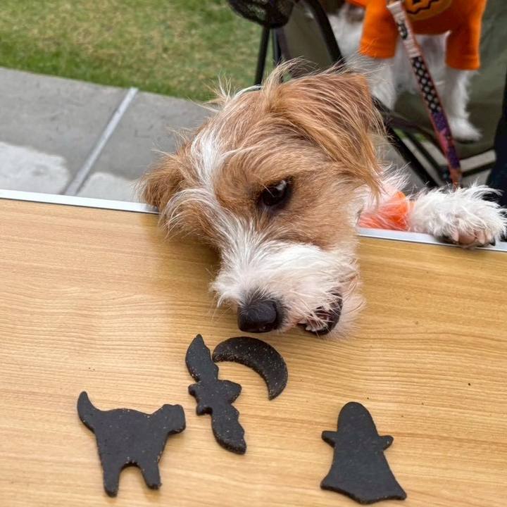 9ac6d7b1 e163 4f85 8e57 d98cbe9dd618 1761315487996