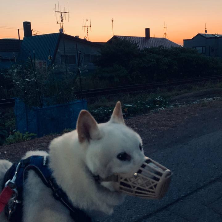 9ac72ae8 25bf 499a aa14 7cf41d4195f2 1628279605136