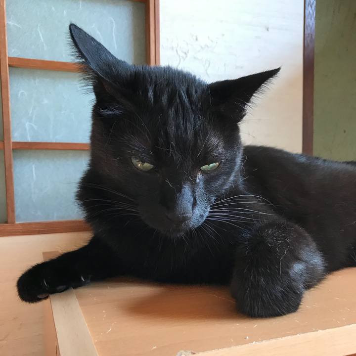 9ac75d66 2093 4332 ac36 dc9445cc4166 1533167196145