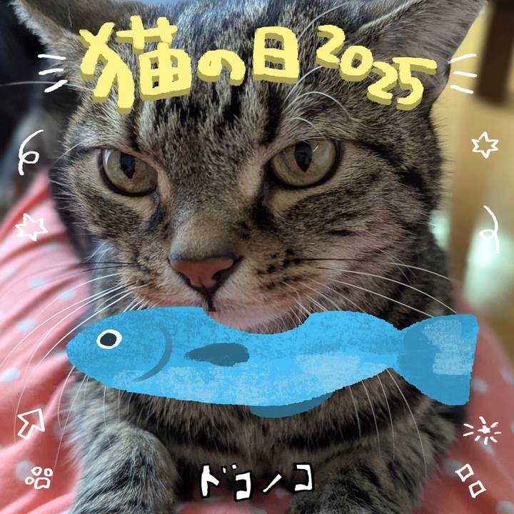 9ac75e8a eaa7 40b1 a99e 5eedc0d469d5 1740368737630