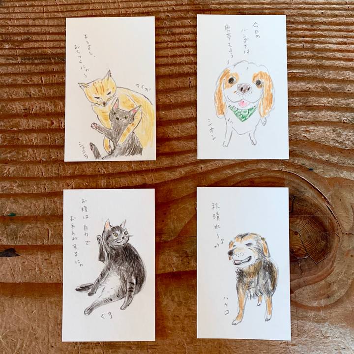 9ac7604c 0792 4245 93b6 9b9d113fe828 1602640311760