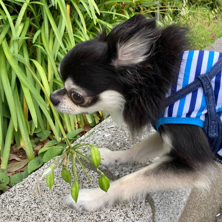 9ac76323 1374 44f8 a4d0 b872d78fe5fd 1689438611255