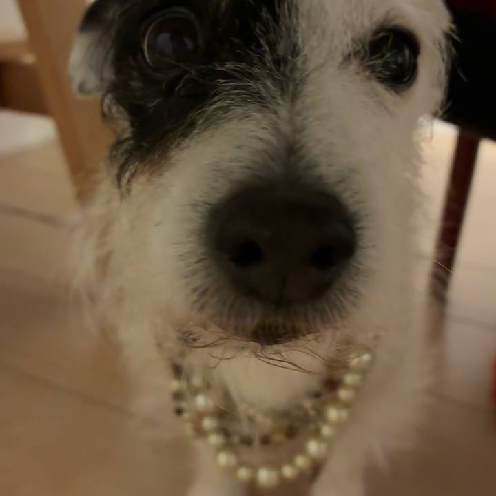 9ac7acc8 2c63 4241 973c 9c54e26f7c31 1767866124526