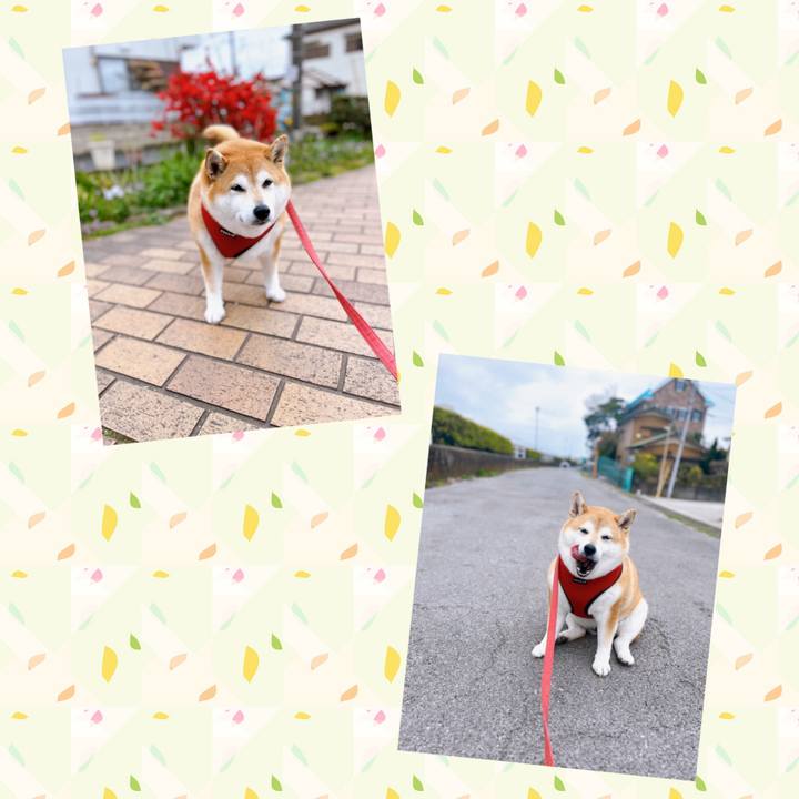 9ac7ae4a f8bb 4ce2 b30c 66876cc01be8 1679023204872