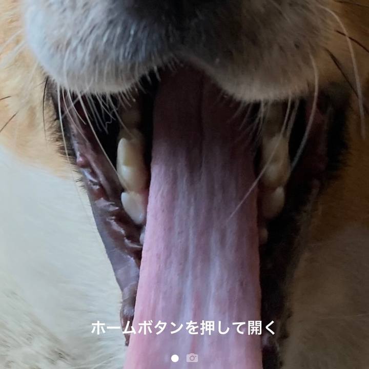 9ac7d7bd 1df1 43d6 a265 1b9f0a46a89c 1669869039697