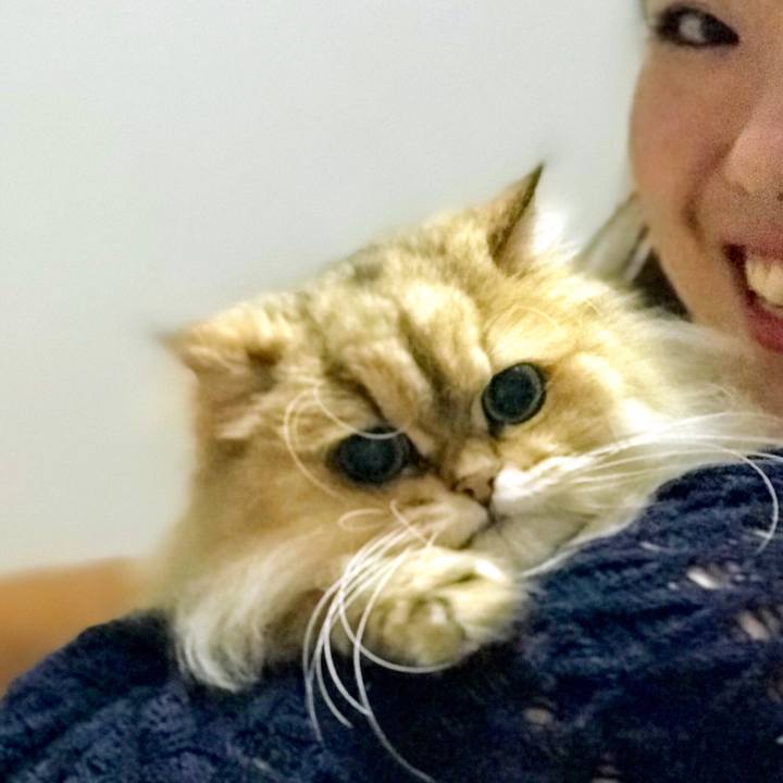 9ac80101 bca0 4e5a 8843 3c925bbbdd06 1533401327971