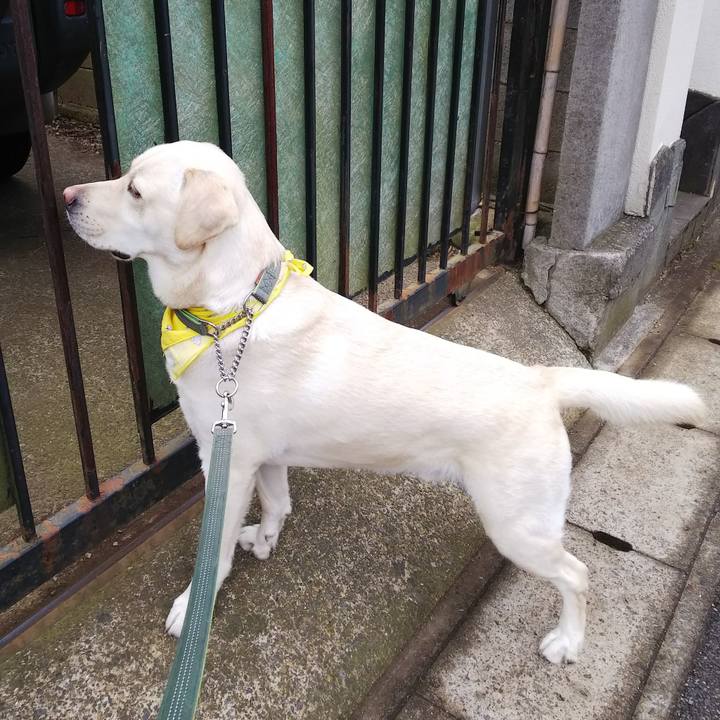 9ac80911 79c4 4135 852f efcd7de49072 1519352897885