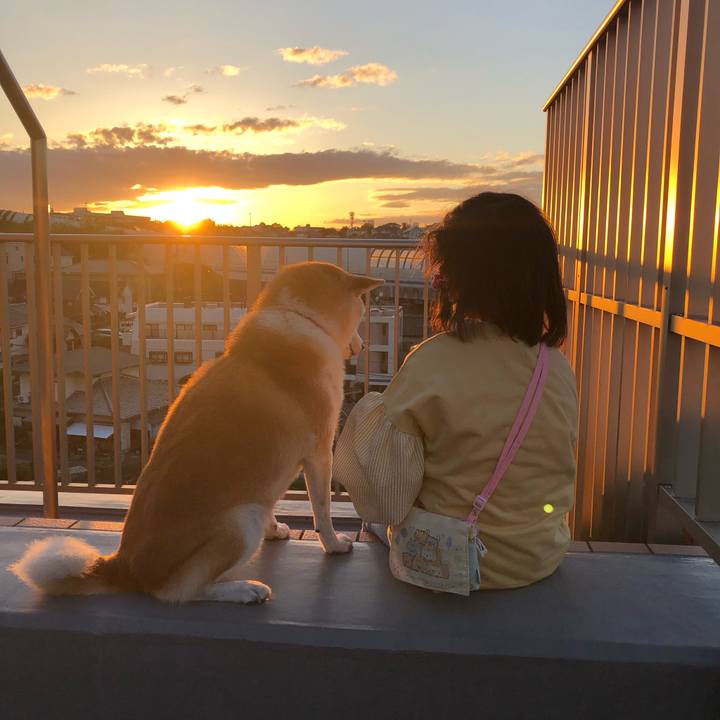 9ac828e4 5a53 4a46 b56f 9bde899cde96 1667780056038